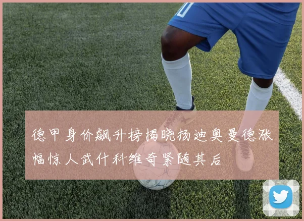德甲身价飙升榜揭晓扬迪奥曼德涨幅惊人武什科维奇紧随其后